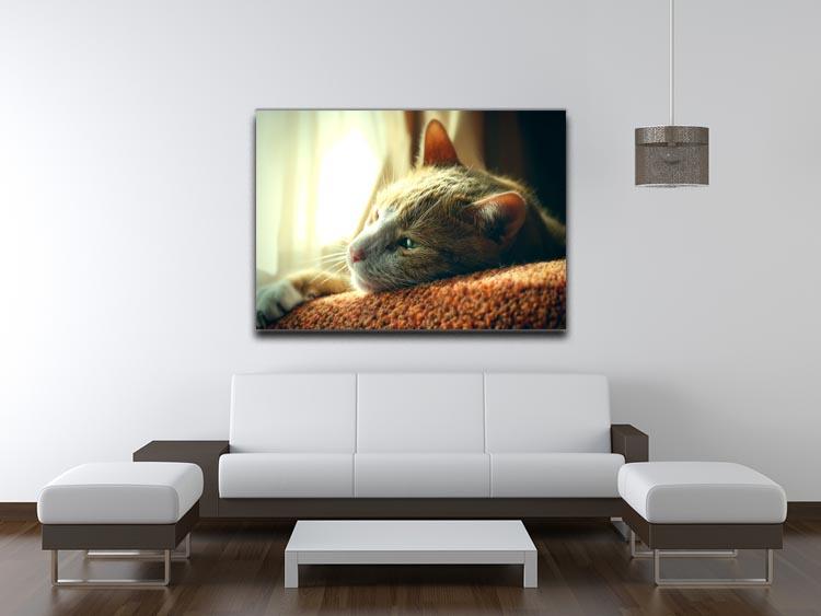 Very Sad Red Cat Canvas Print or Poster - Canvas Art Rocks - 4