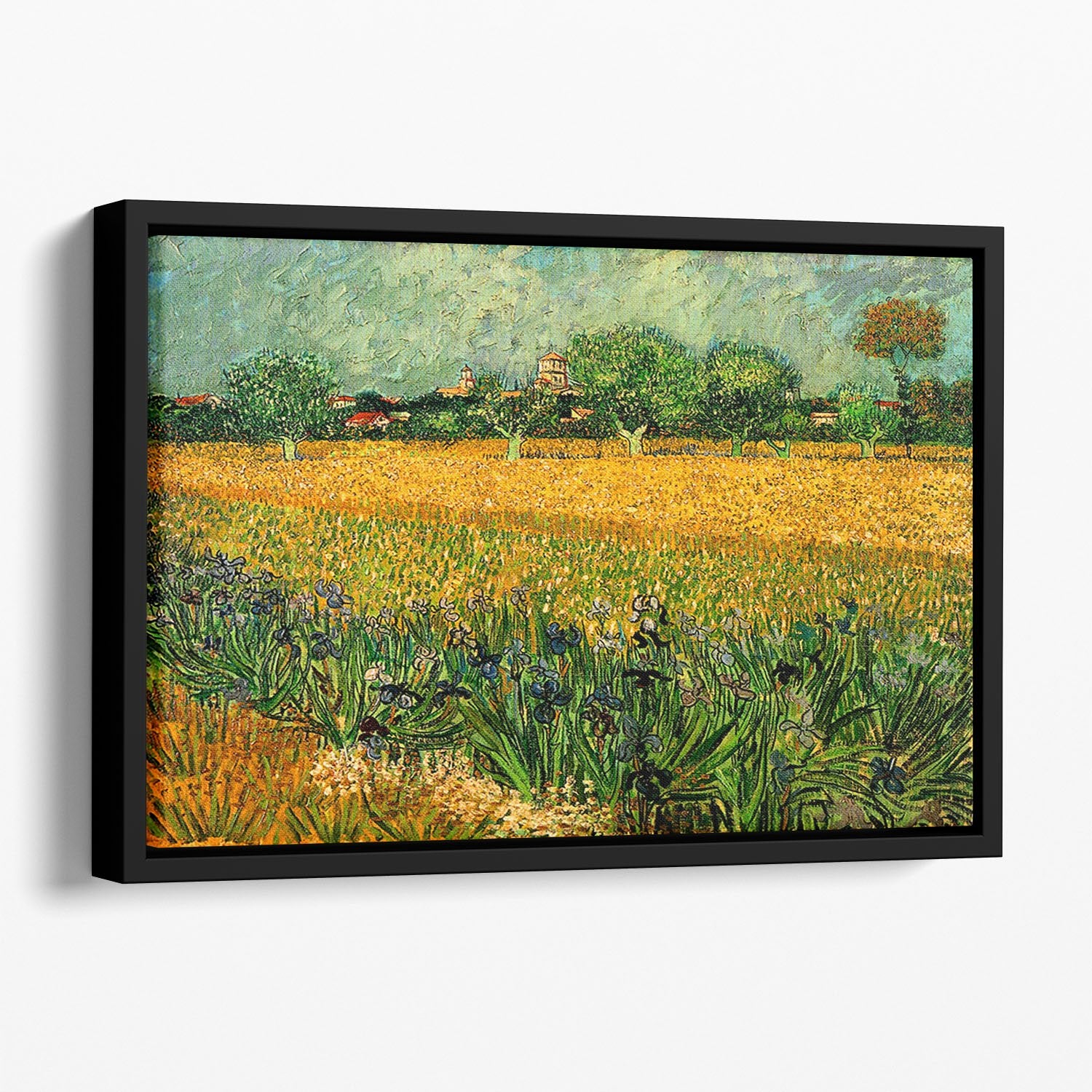 View of Arles with Irises in the Foreground by Van Gogh Floating Framed Canvas