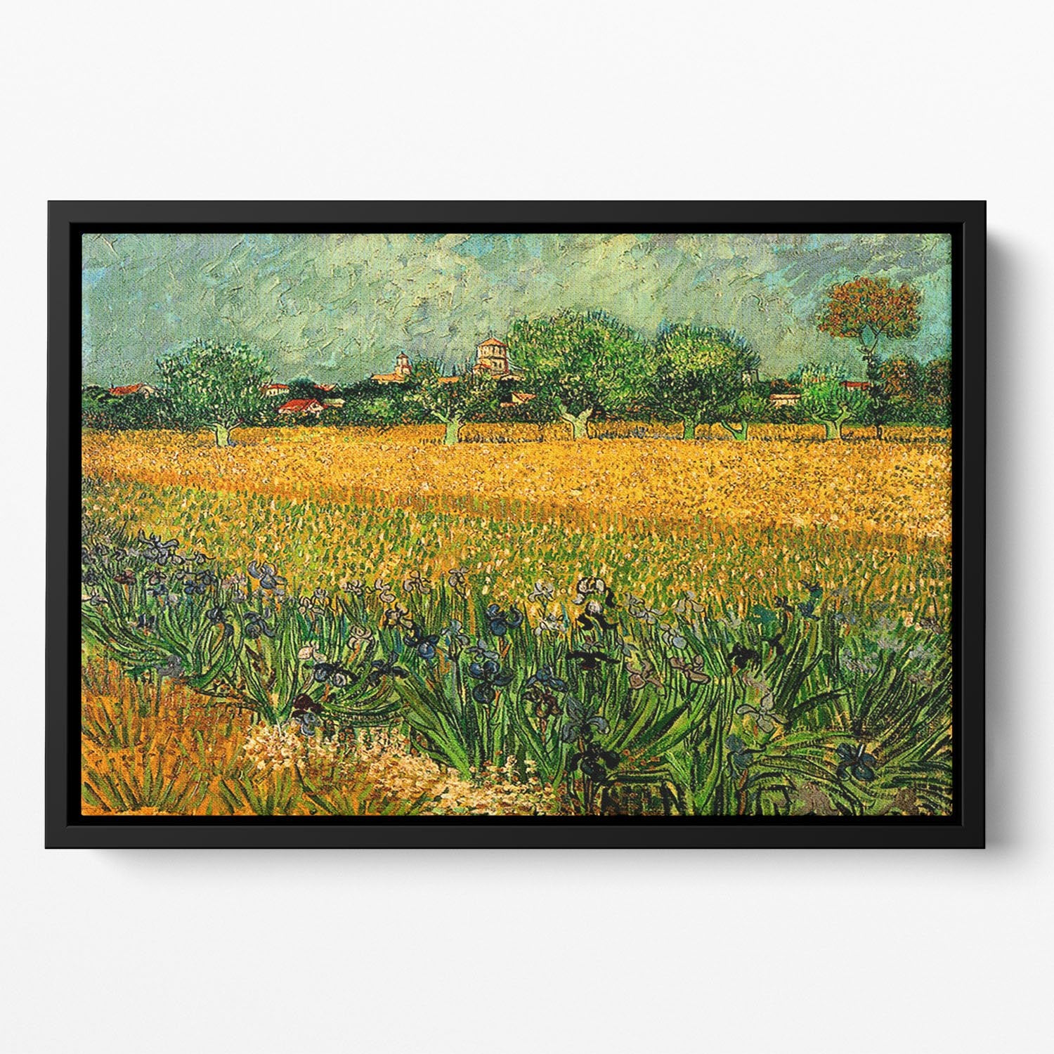 View of Arles with Irises in the Foreground by Van Gogh Floating Framed Canvas