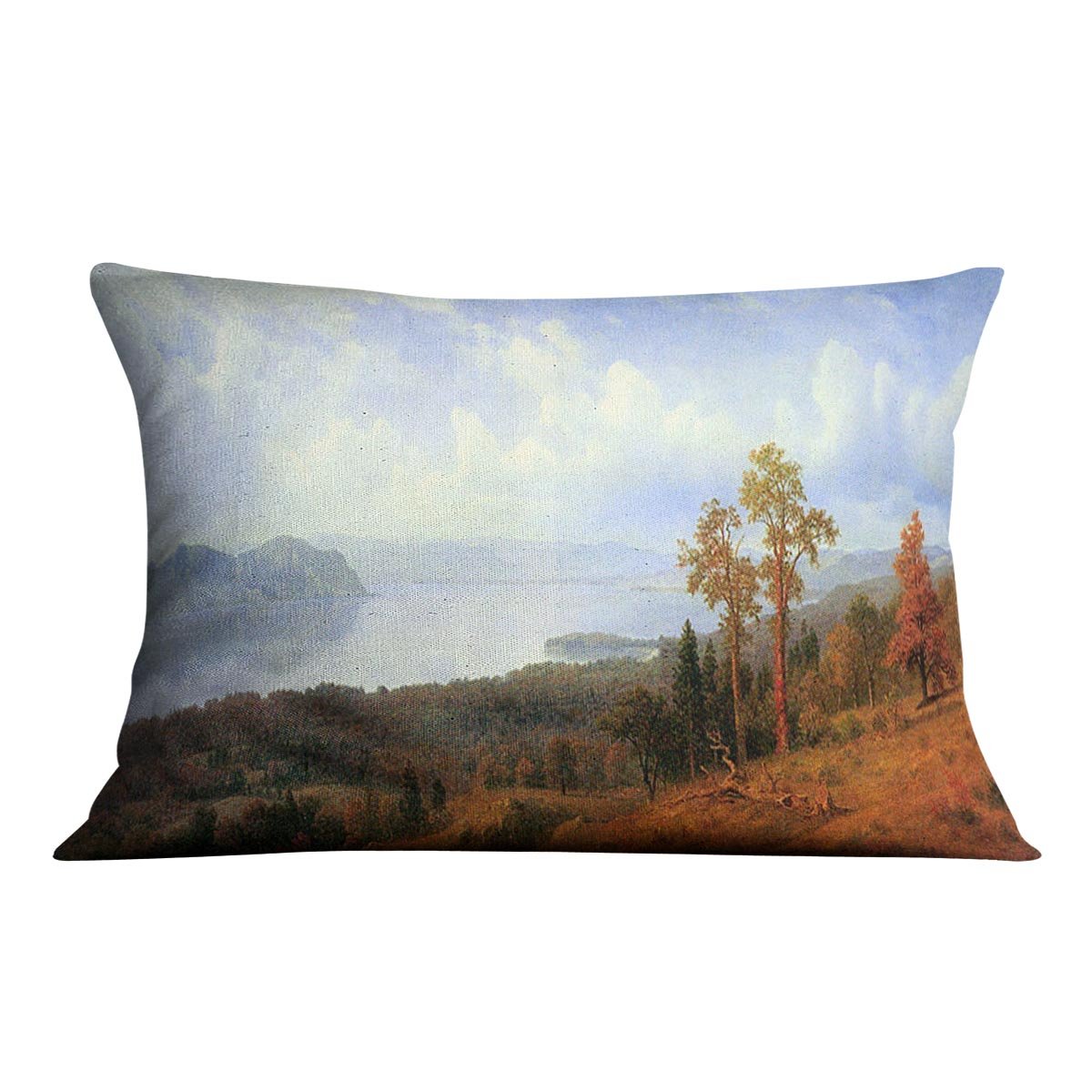 View of the Hudson River Vally by Bierstadt Cushion - Canvas Art Rocks - 4