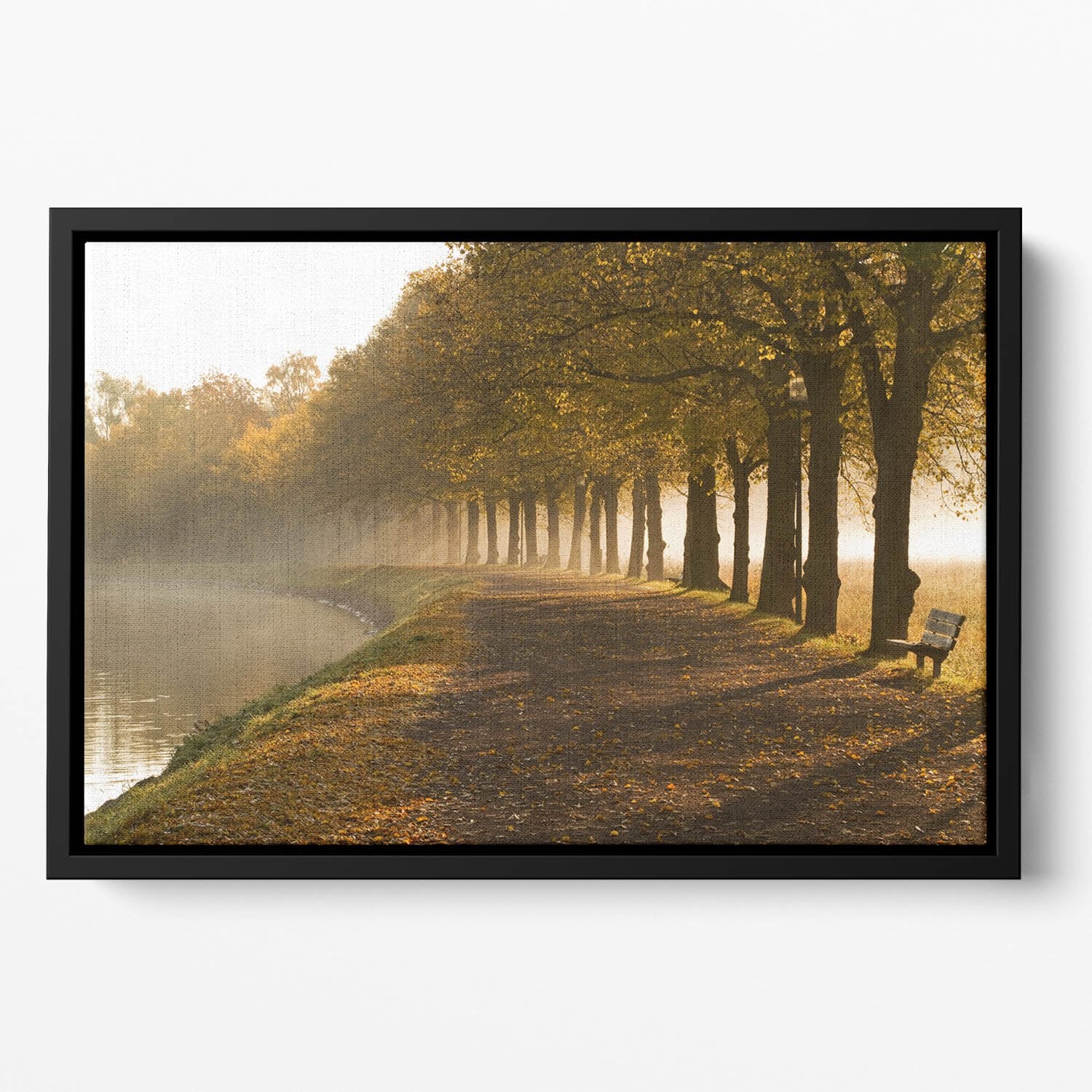 Walkway at the canal in morning Floating Framed Canvas