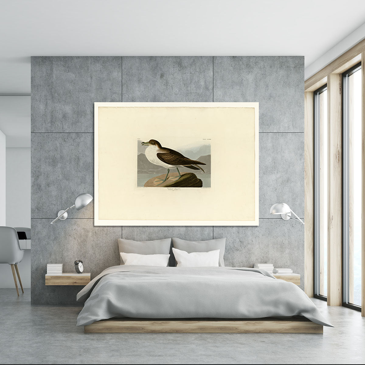 Wandering Shearwater by Audubon Canvas Print or Poster - Canvas Art Rocks - 5