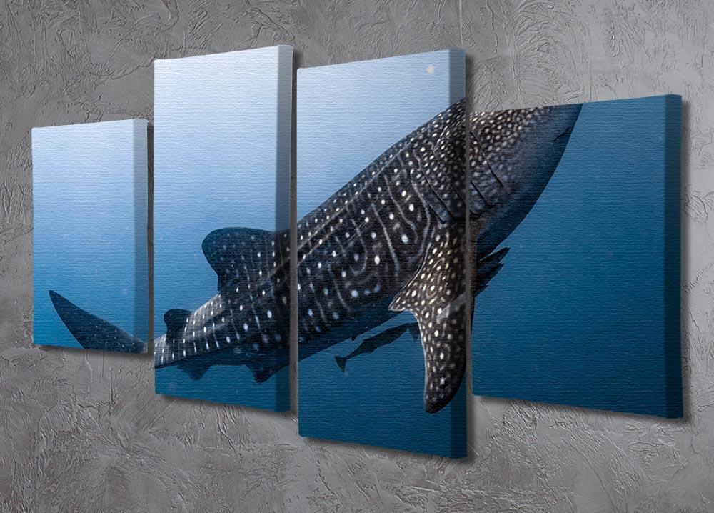 Whale Shark very near 4 Split Panel Canvas  - Canvas Art Rocks - 2