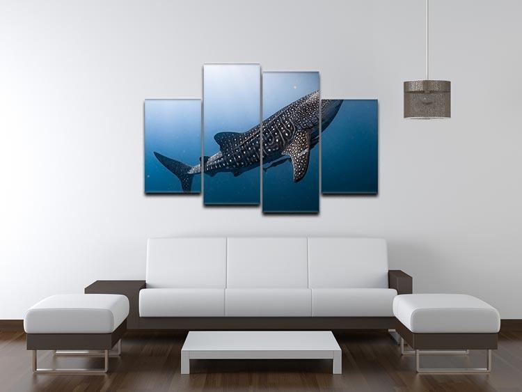 Whale Shark very near 4 Split Panel Canvas  - Canvas Art Rocks - 3