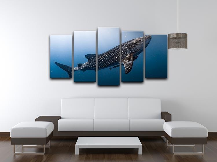 Whale Shark very near 5 Split Panel Canvas  - Canvas Art Rocks - 3
