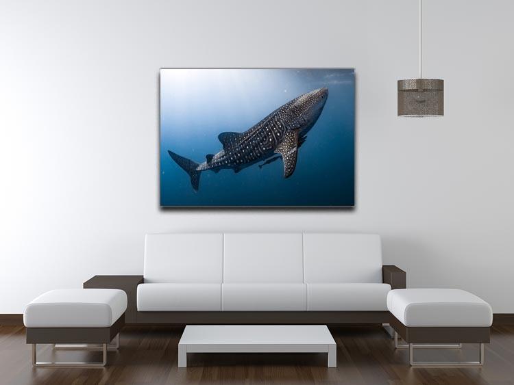 Whale Shark very near Canvas Print or Poster - Canvas Art Rocks - 4