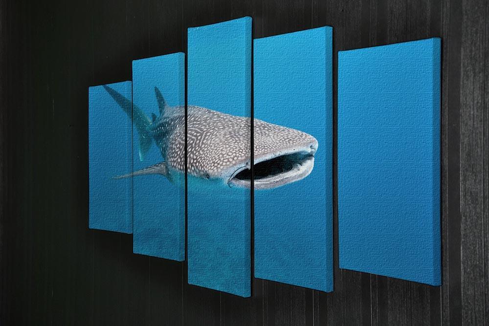 Whale shark 5 Split Panel Canvas  - Canvas Art Rocks - 2
