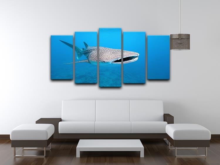 Whale shark 5 Split Panel Canvas  - Canvas Art Rocks - 3
