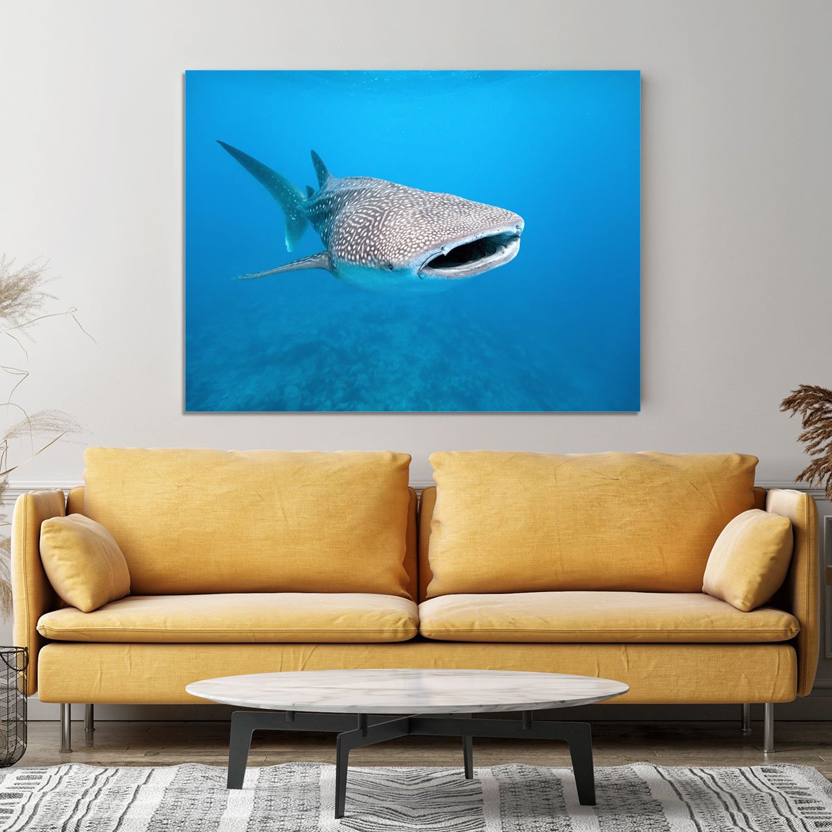 Whale Shark Canvas Print or Poster