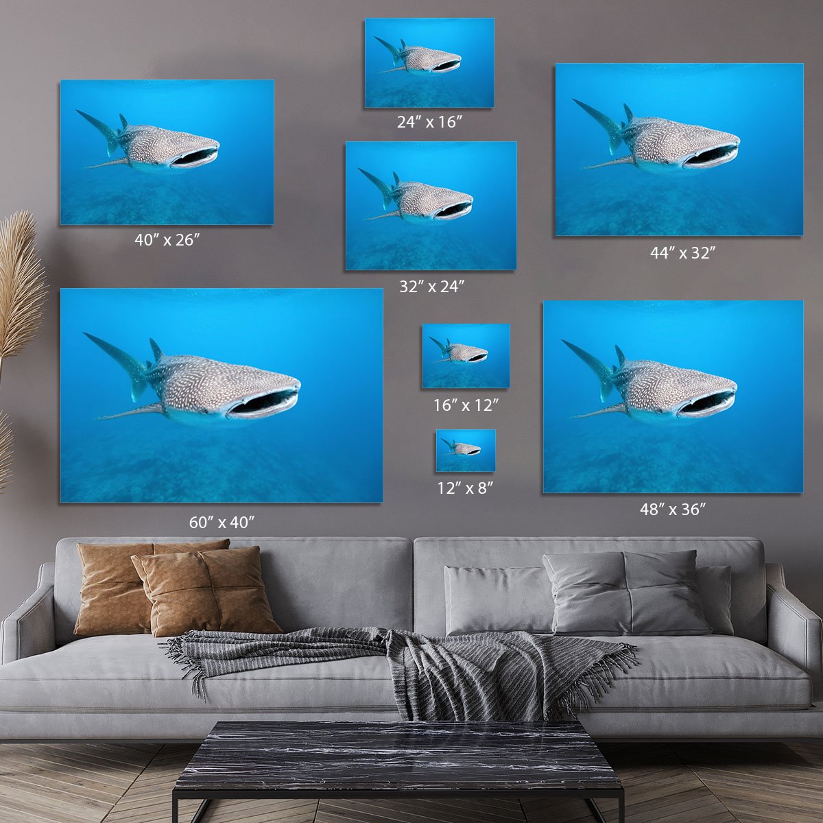 Whale Shark Canvas Print or Poster