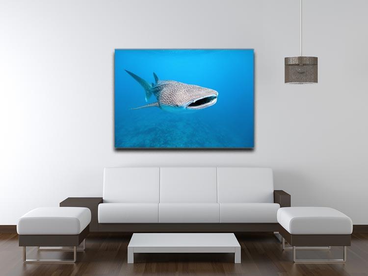 Whale shark Canvas Print or Poster - Canvas Art Rocks - 4