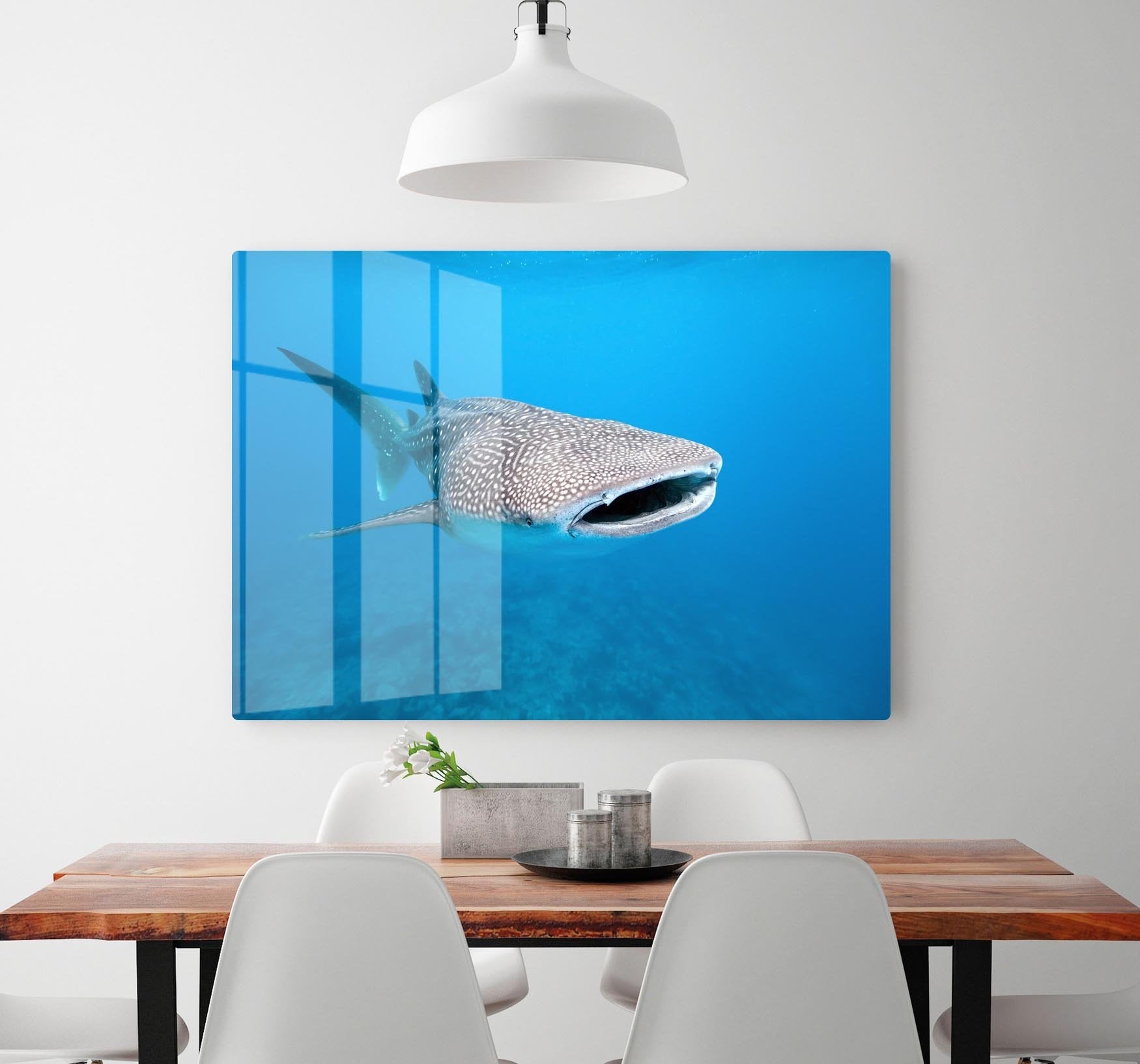 Whale shark HD Metal Print