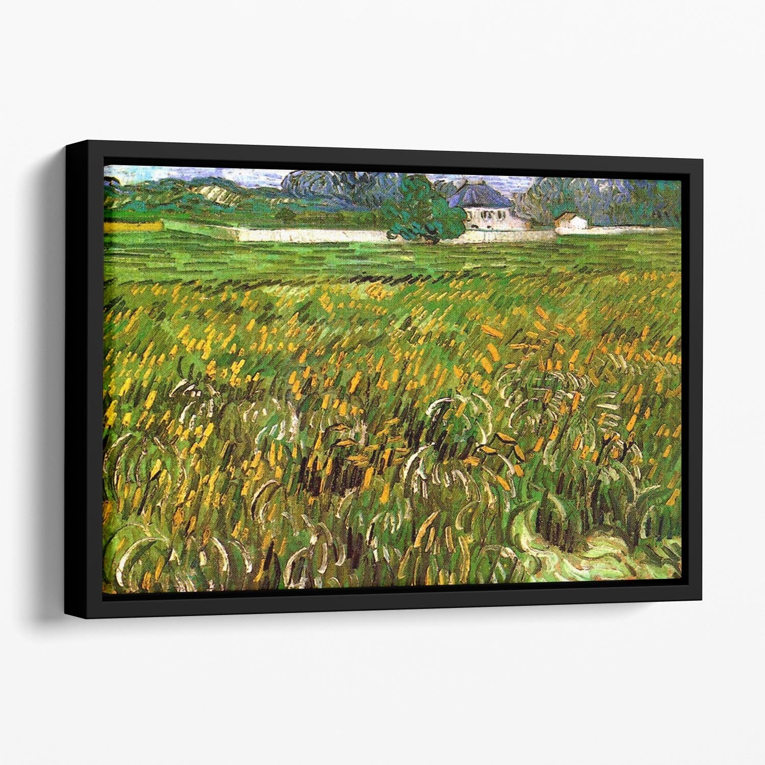 Wheat Field at Auvers with White House by Van Gogh Floating Framed Canvas