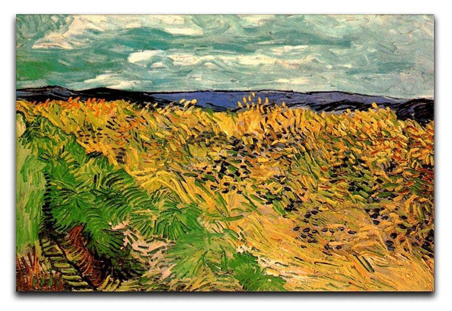 Wheat Field with Cornflowers by Van Gogh Canvas Print & Poster  - Canvas Art Rocks - 1