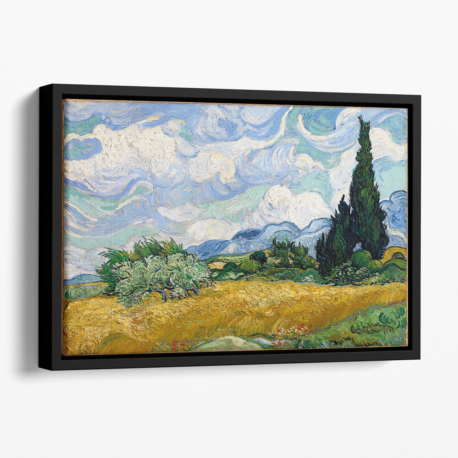 Wheat Field with Cypresses Floating Framed Canvas