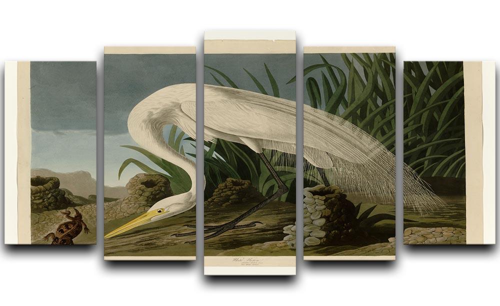 White Heron by Audubon 5 Split Panel Canvas - Canvas Art Rocks - 1