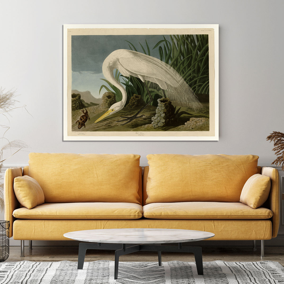 White Heron by Audubon Canvas Print or Poster - Canvas Art Rocks - 4