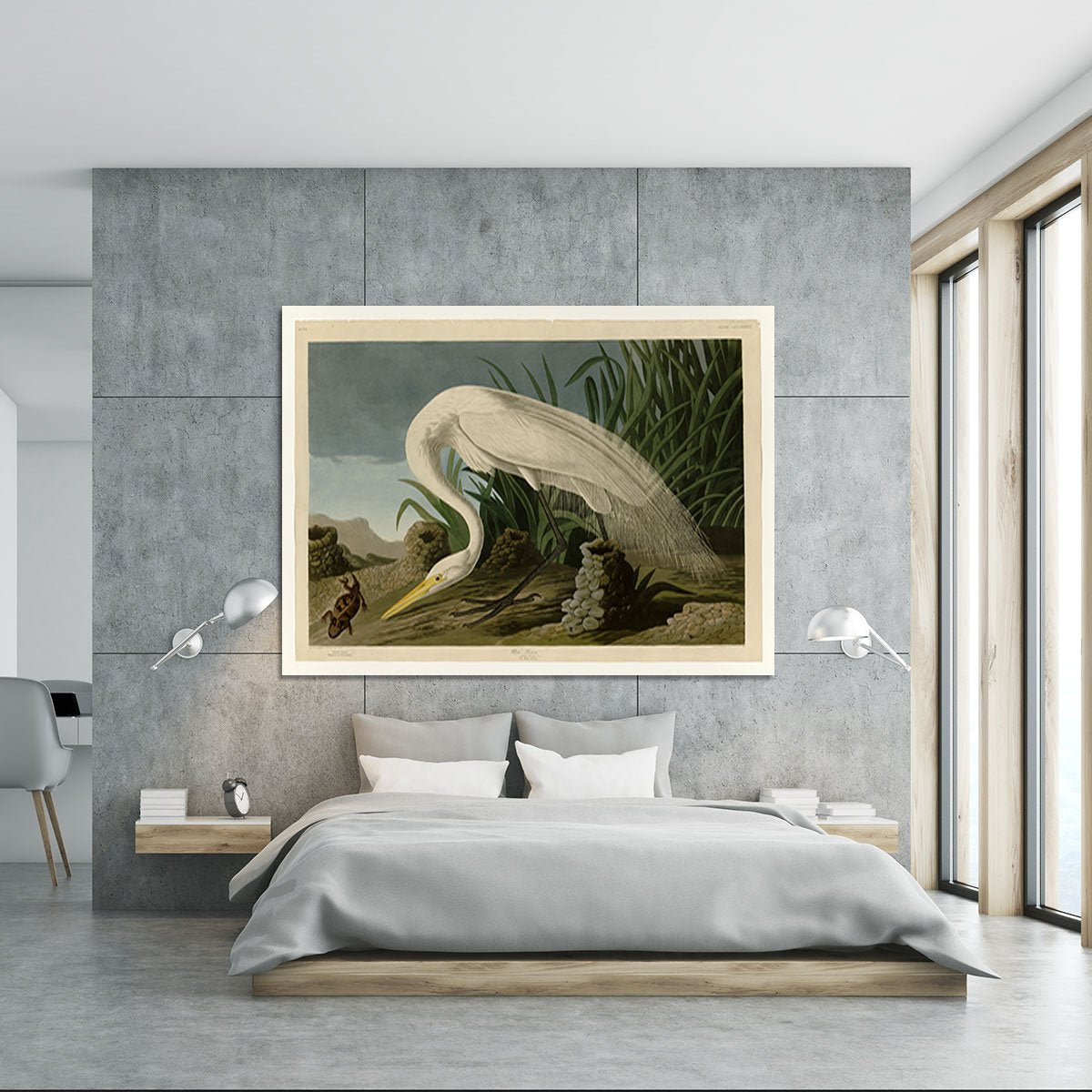 White Heron by Audubon Canvas Print or Poster