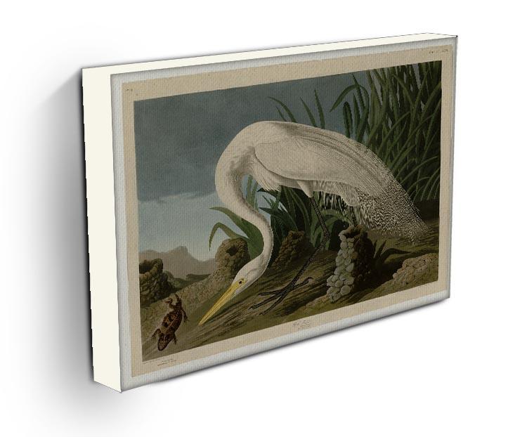 White Heron by Audubon Canvas Print or Poster - Canvas Art Rocks - 3