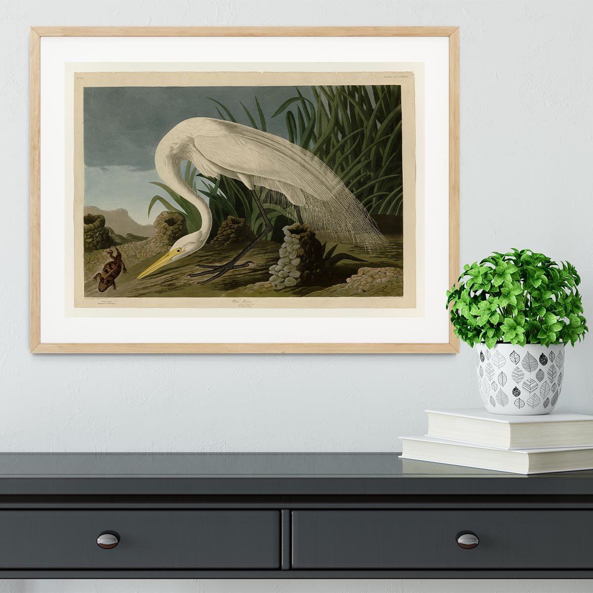 White Heron by Audubon Framed Print - Canvas Art Rocks - 3