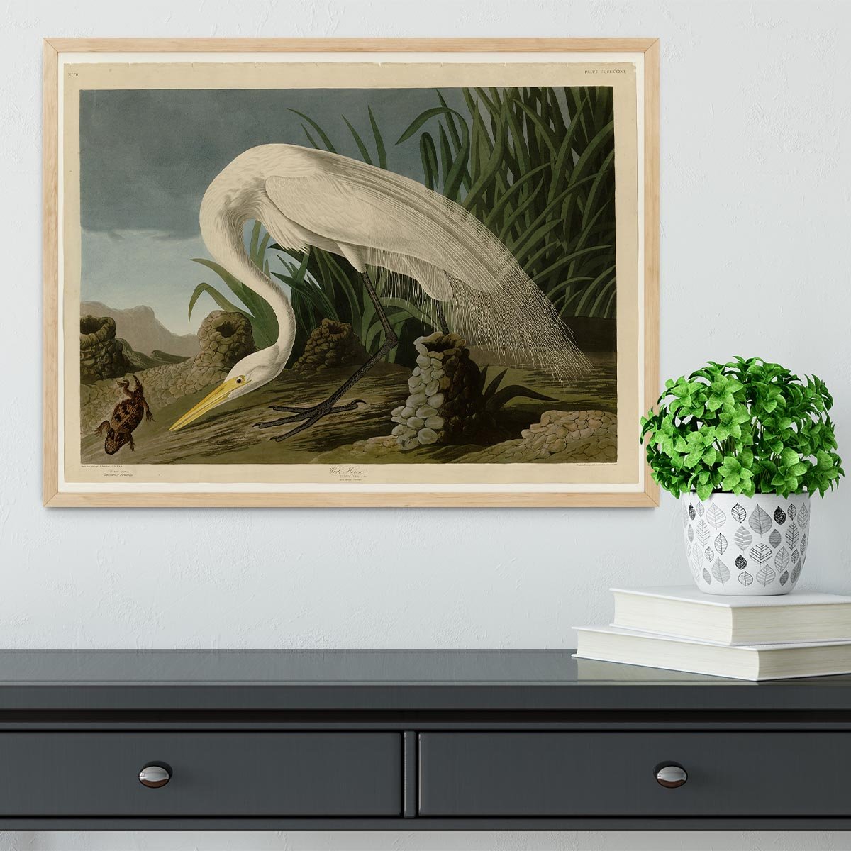 White Heron by Audubon Framed Print - Canvas Art Rocks - 4