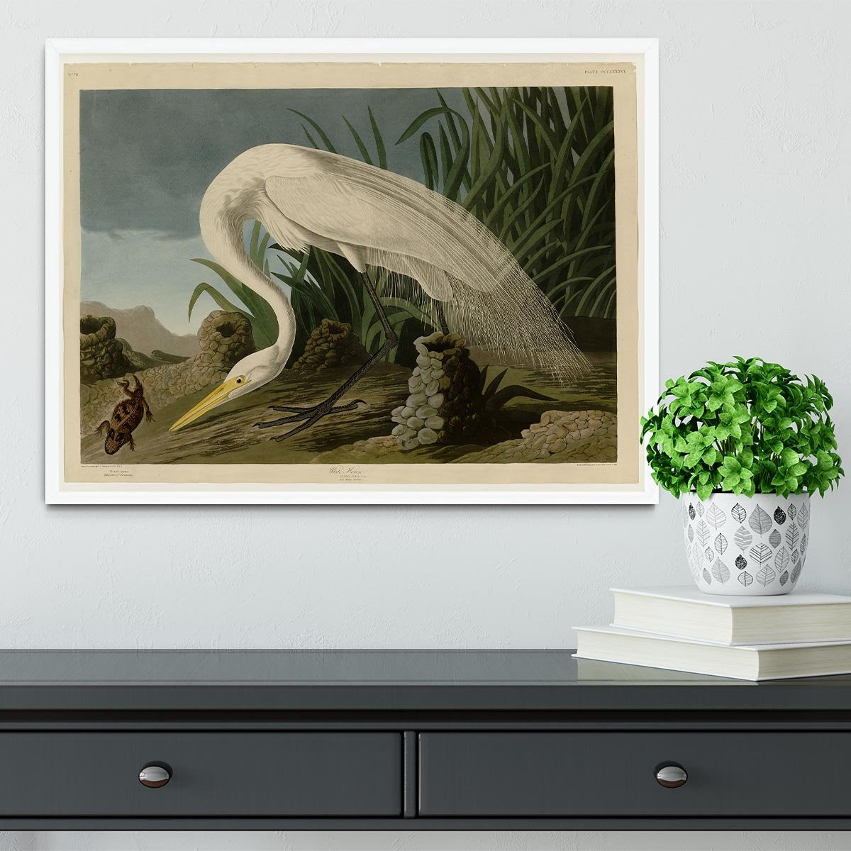 White Heron by Audubon Framed Print - Canvas Art Rocks -6