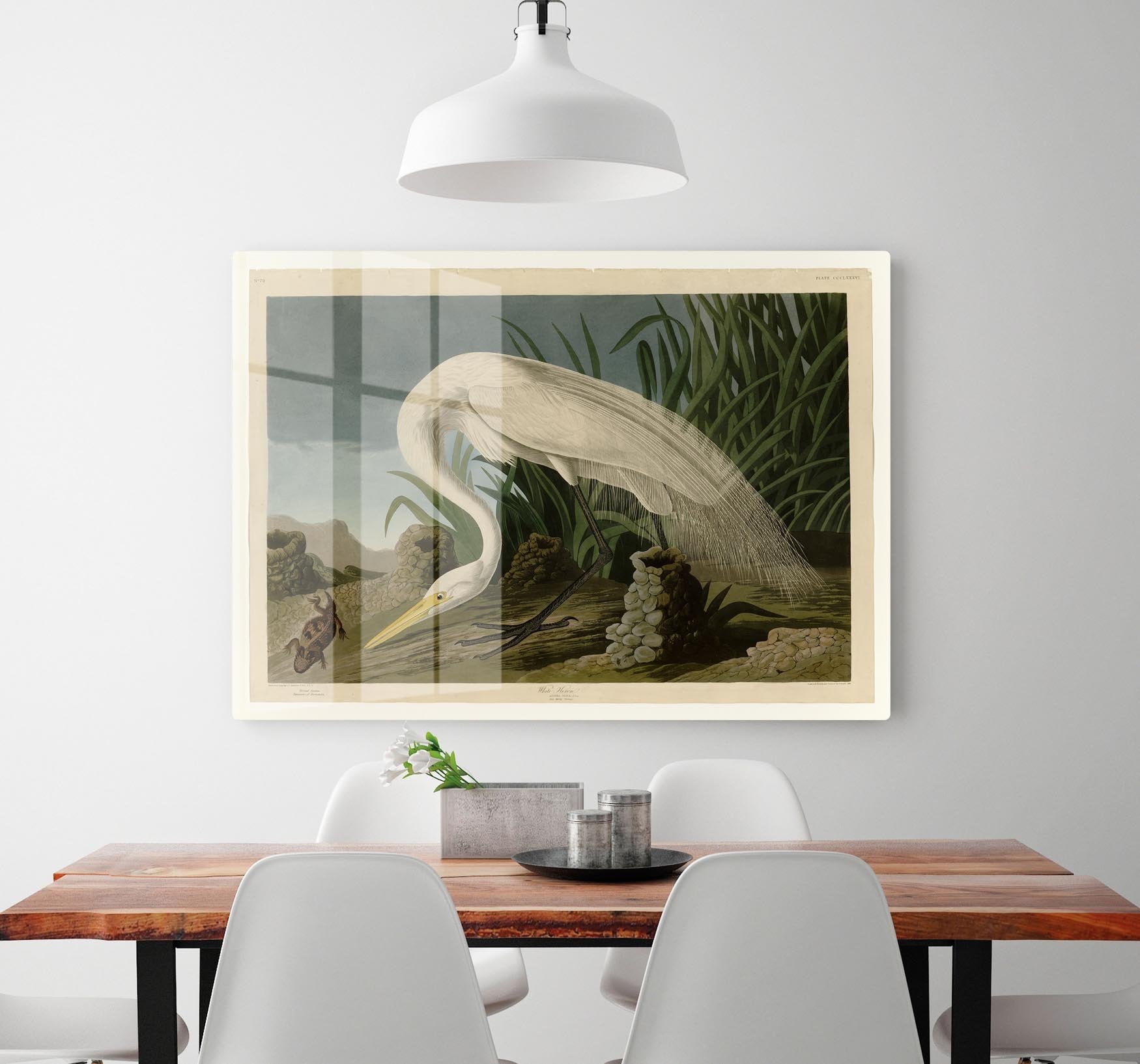 White Heron by Audubon HD Metal Print - Canvas Art Rocks - 2