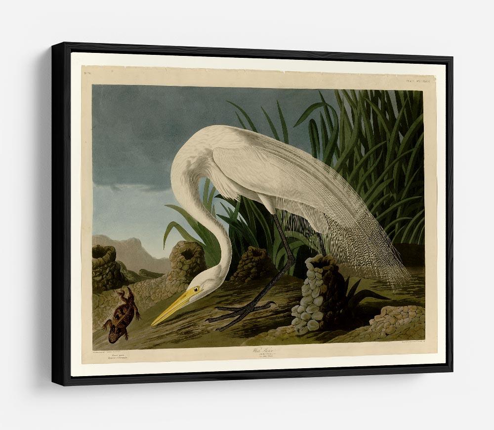 White Heron by Audubon HD Metal Print - Canvas Art Rocks - 6