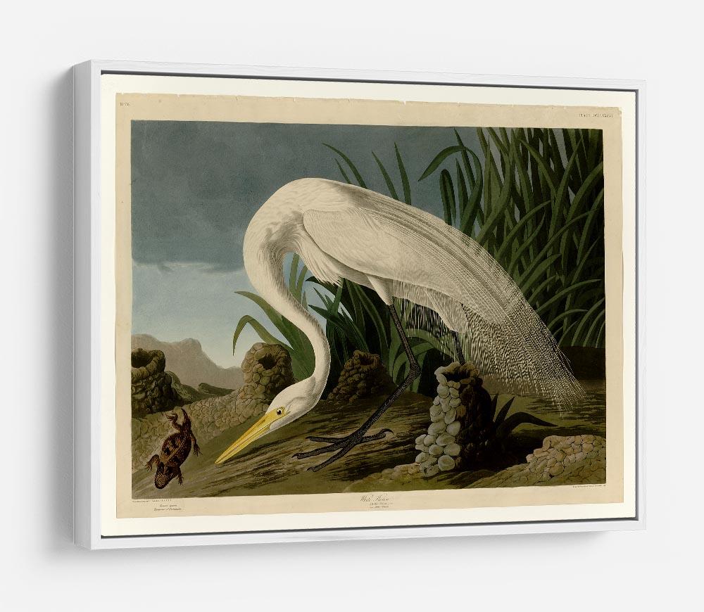 White Heron by Audubon HD Metal Print - Canvas Art Rocks - 7