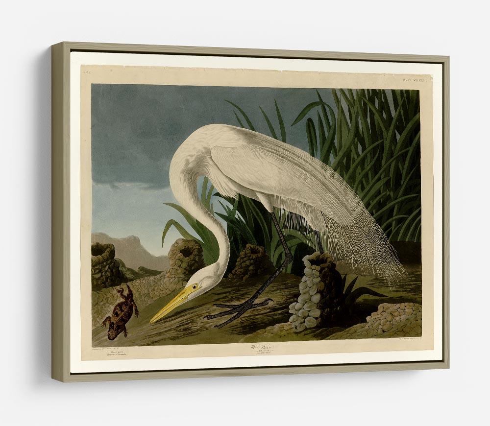 White Heron by Audubon HD Metal Print - Canvas Art Rocks - 8