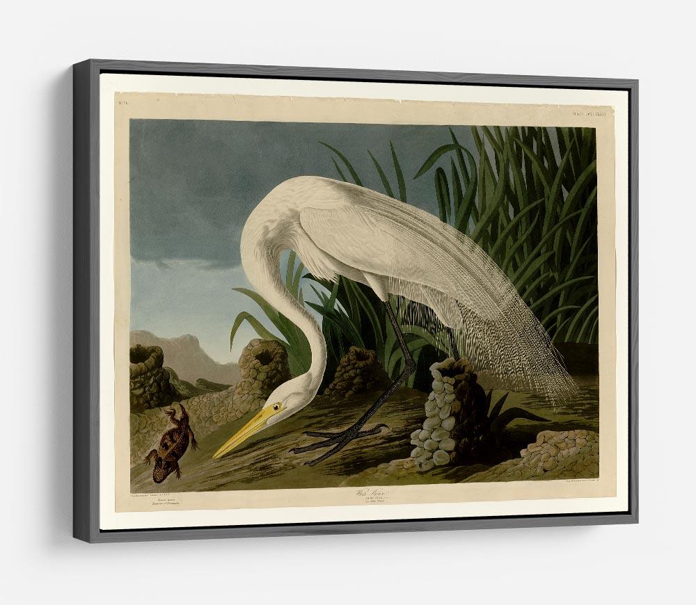 White Heron by Audubon HD Metal Print - Canvas Art Rocks - 9