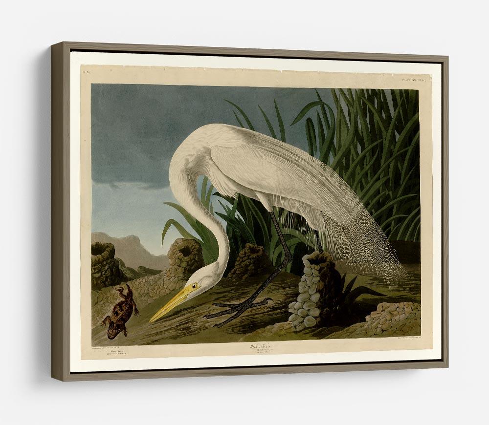 White Heron by Audubon HD Metal Print - Canvas Art Rocks - 10