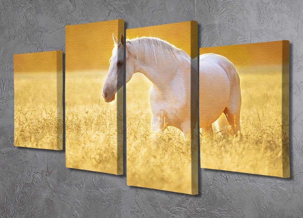 White Orlov trotter horse in rye 4 Split Panel Canvas - Canvas Art Rocks - 2