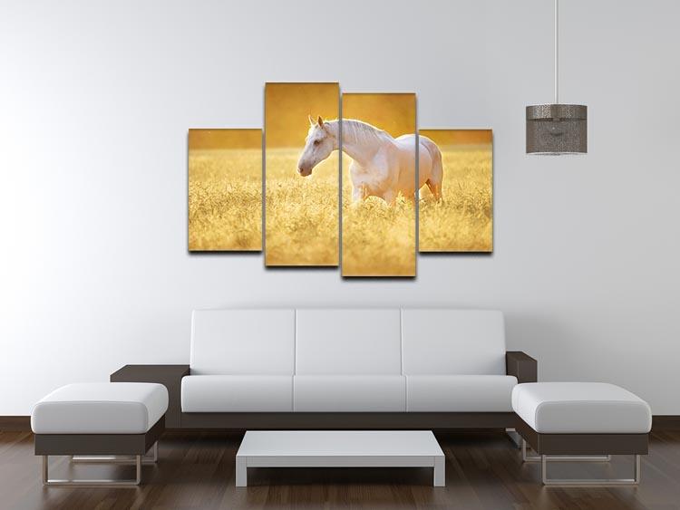 White Orlov trotter horse in rye 4 Split Panel Canvas - Canvas Art Rocks - 3
