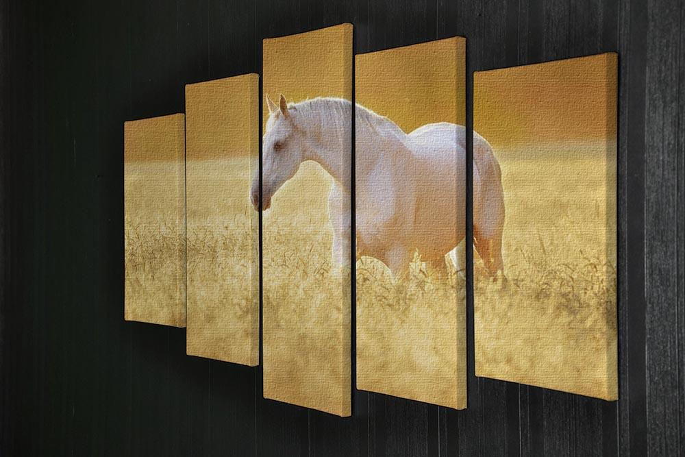 White Orlov trotter horse in rye 5 Split Panel Canvas - Canvas Art Rocks - 2