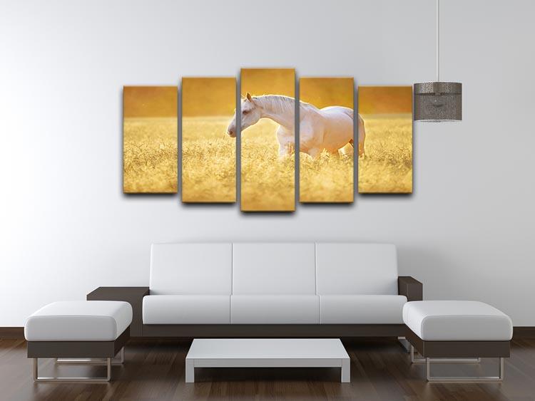 White Orlov trotter horse in rye 5 Split Panel Canvas - Canvas Art Rocks - 3