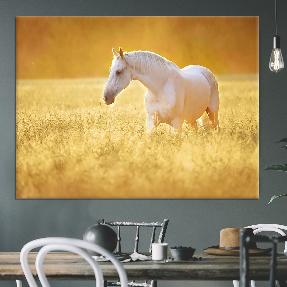 White Orlov trotter horse in rye Canvas Print or Poster