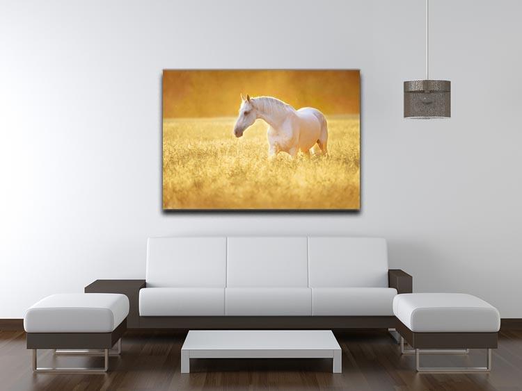 White Orlov trotter horse in rye Canvas Print or Poster - Canvas Art Rocks - 4