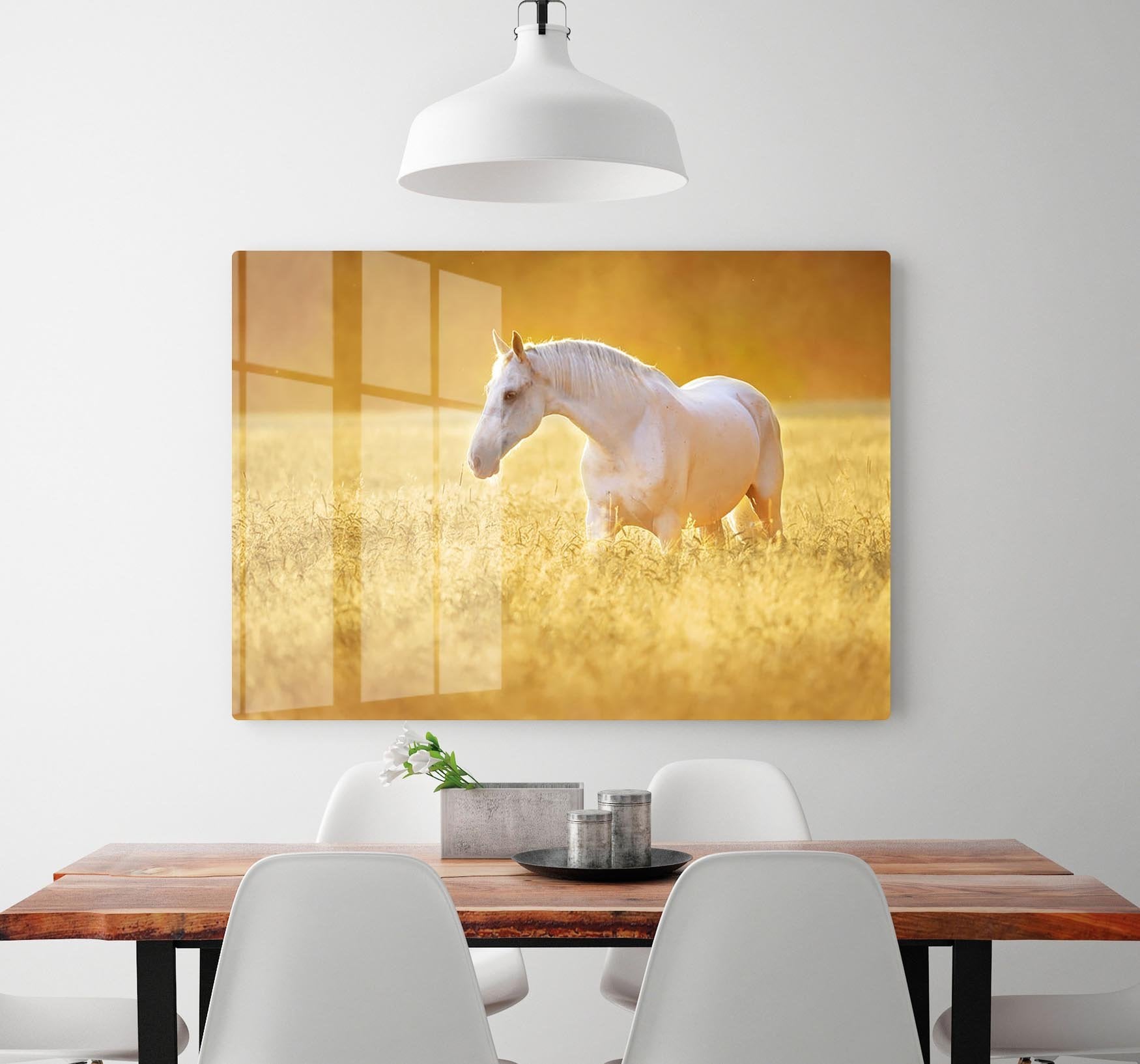 White Orlov trotter horse in rye HD Metal Print - Canvas Art Rocks - 2