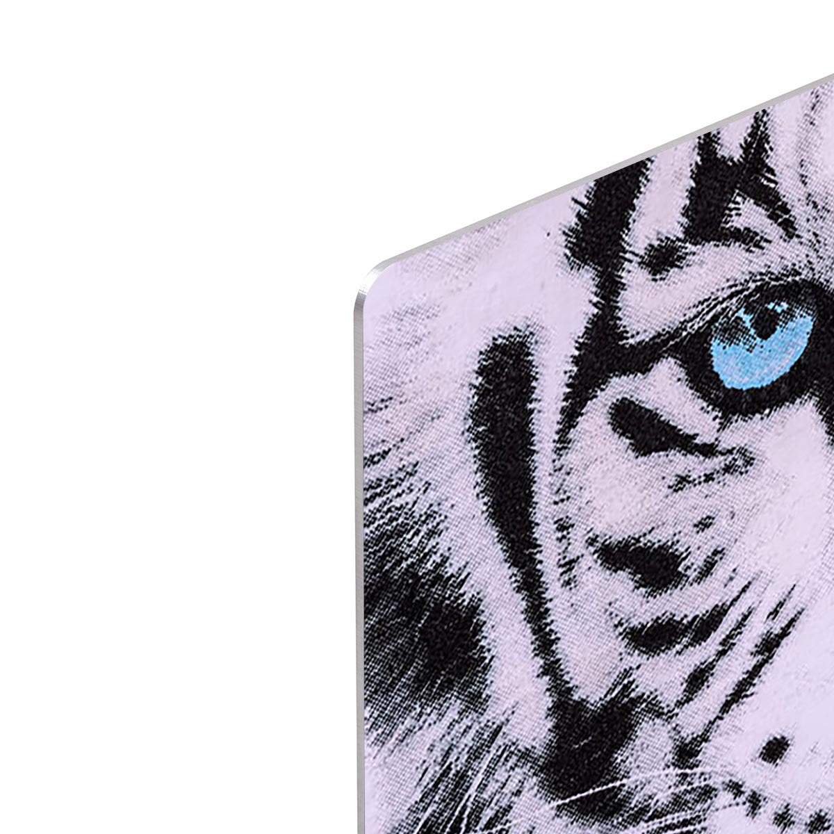White Tiger Face HD Metal Print - Canvas Art Rocks - 4