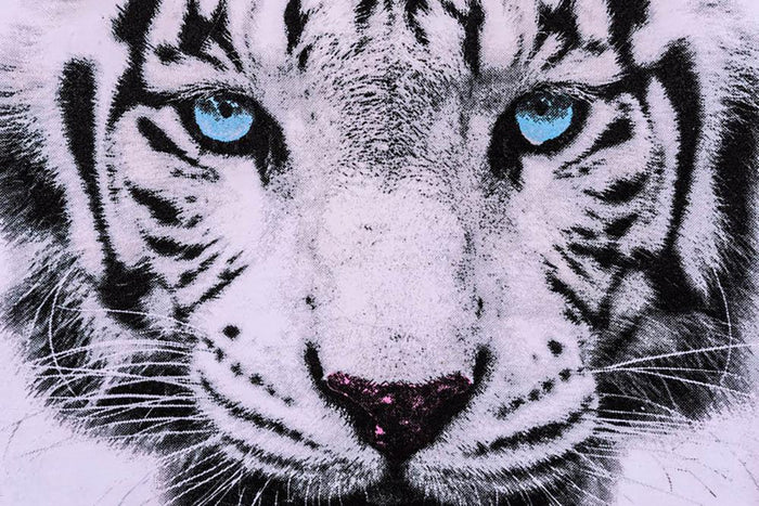 White Tiger Face Wall Mural Wallpaper