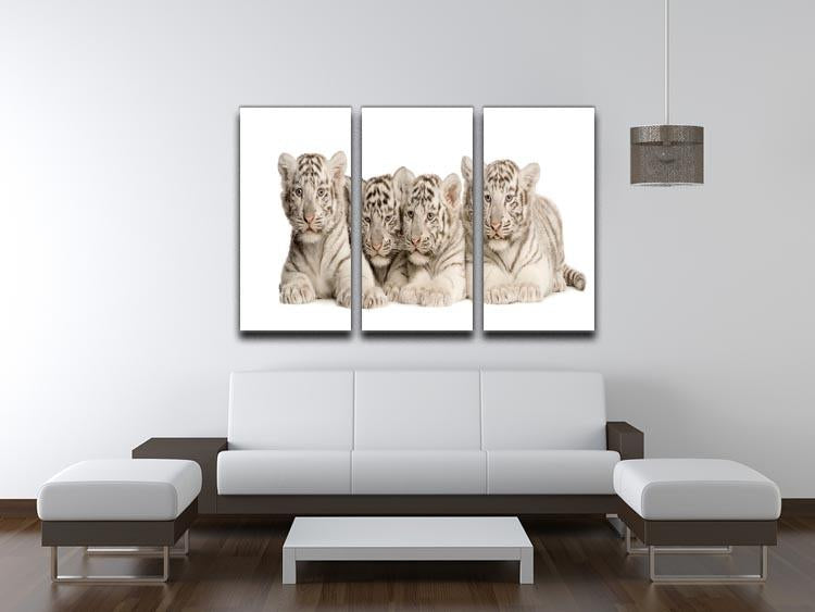 White Tiger cubs 2 months 3 Split Panel Canvas Print - Canvas Art Rocks - 3