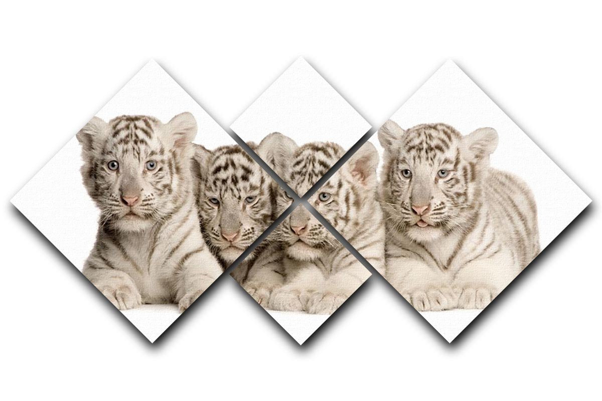 White Tiger cubs 2 months 4 Square Multi Panel Canvas - Canvas Art Rocks - 1