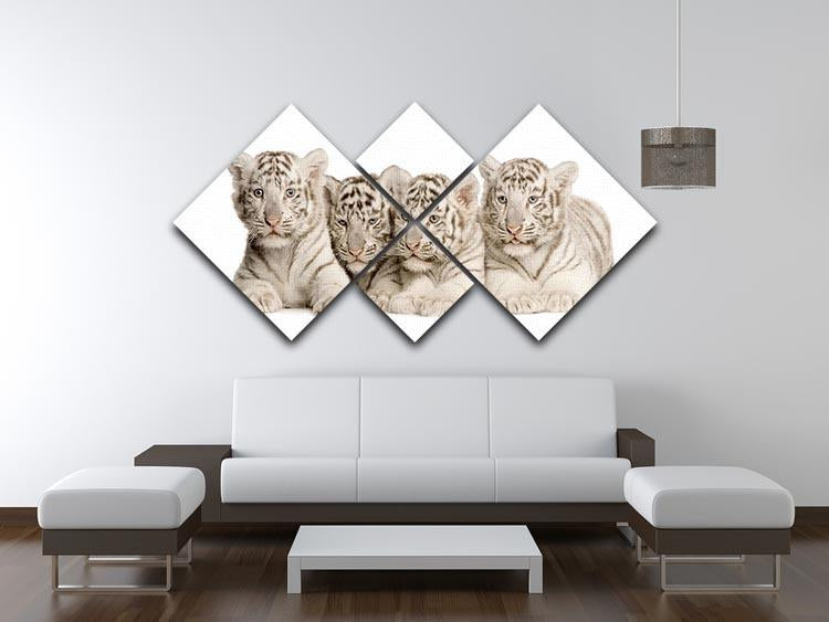 White Tiger cubs 2 months 4 Square Multi Panel Canvas - Canvas Art Rocks - 3