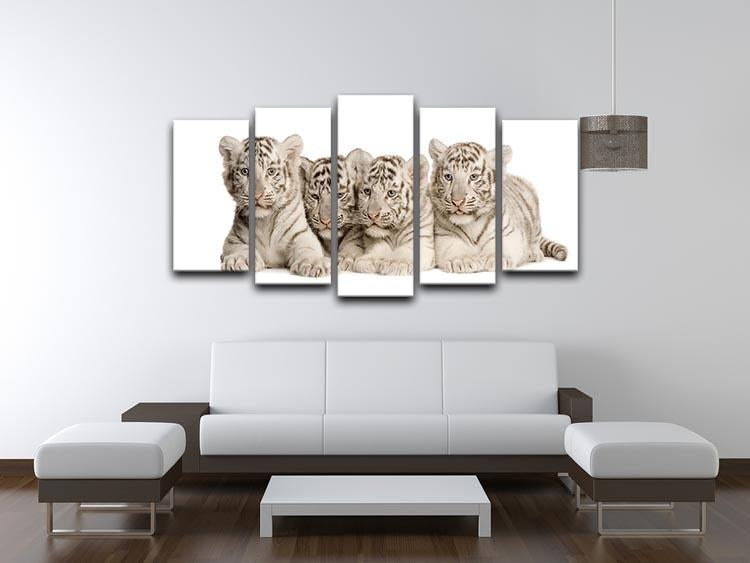 White Tiger cubs 2 months 5 Split Panel Canvas - Canvas Art Rocks - 3