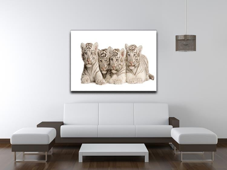 White Tiger cubs 2 months Canvas Print or Poster - Canvas Art Rocks - 4