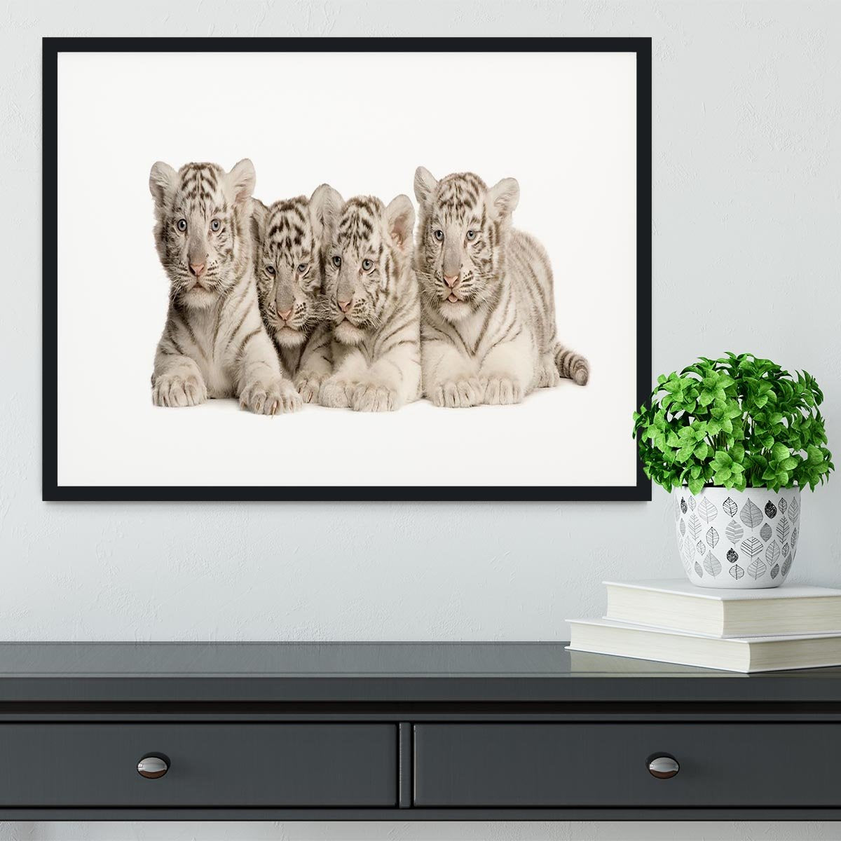 White Tiger cubs 2 months Framed Print - Canvas Art Rocks - 1