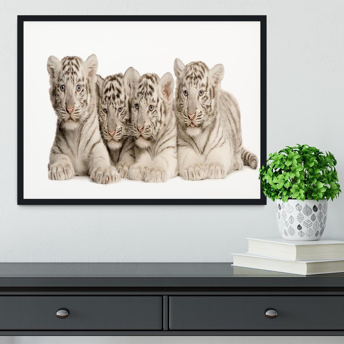 White Tiger cubs 2 months Framed Print - Canvas Art Rocks - 2