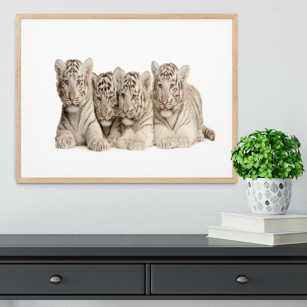 White Tiger cubs 2 months Framed Print - Canvas Art Rocks - 3