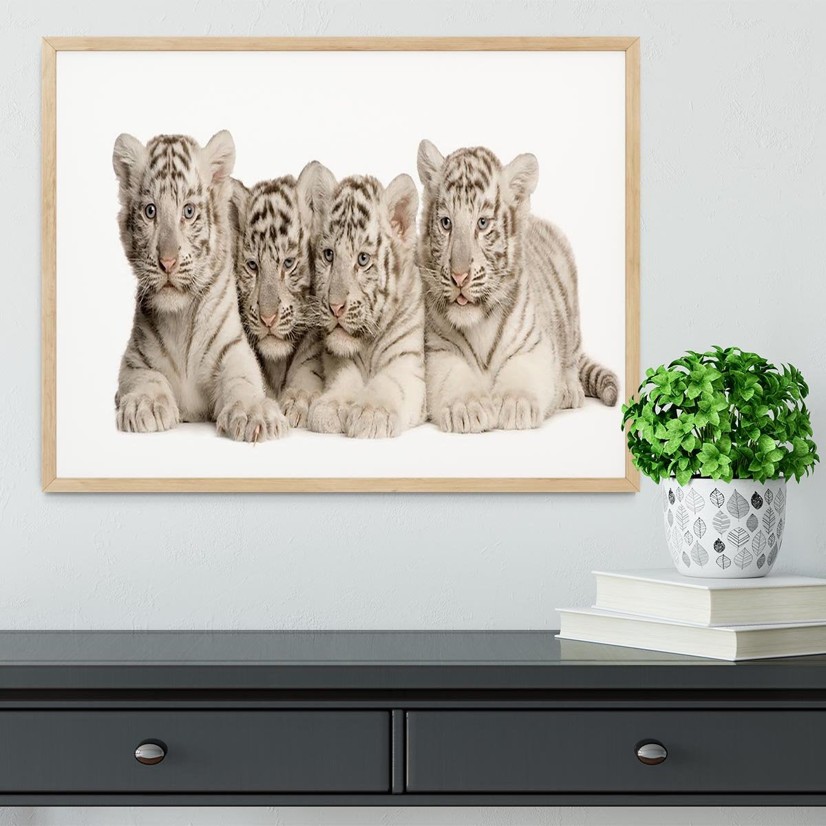 White Tiger cubs 2 months Framed Print - Canvas Art Rocks - 4
